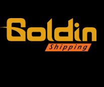GOLDIN SHIPPING PTE LTD