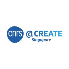 CNRS@CREATE LTD.