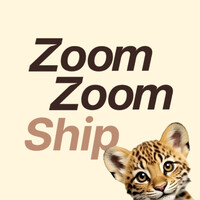 ZoomZoomShip