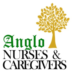 ANGLO NURSES PTE. LTD.
