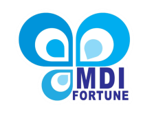 MDI FORTUNE PTE. LTD.