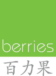 BERRIES WORLD OF LEARNING SCHOOL (KVN) PTE. LTD.