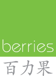BERRIES WORLD OF LEARNING SCHOOL (DBY) PTE. LTD.