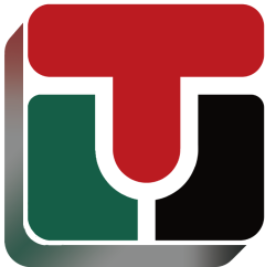 TRIUMPH ELECTRICAL SYSTEM ENGINEERING PTE LTD