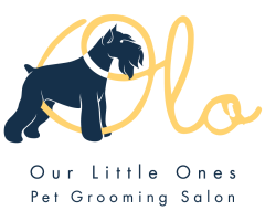 OLO SG PTE. LTD.