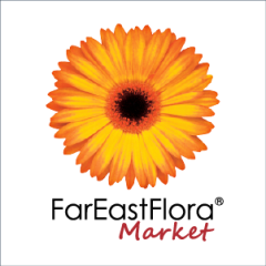 FAR EAST ORCHID PTE LTD