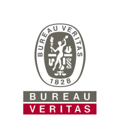 BUREAU VERITAS BUILDINGS & INFRASTRUCTURE PTE. LTD.