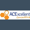 ACEXCELLENT CONSULTING PTE. LTD.